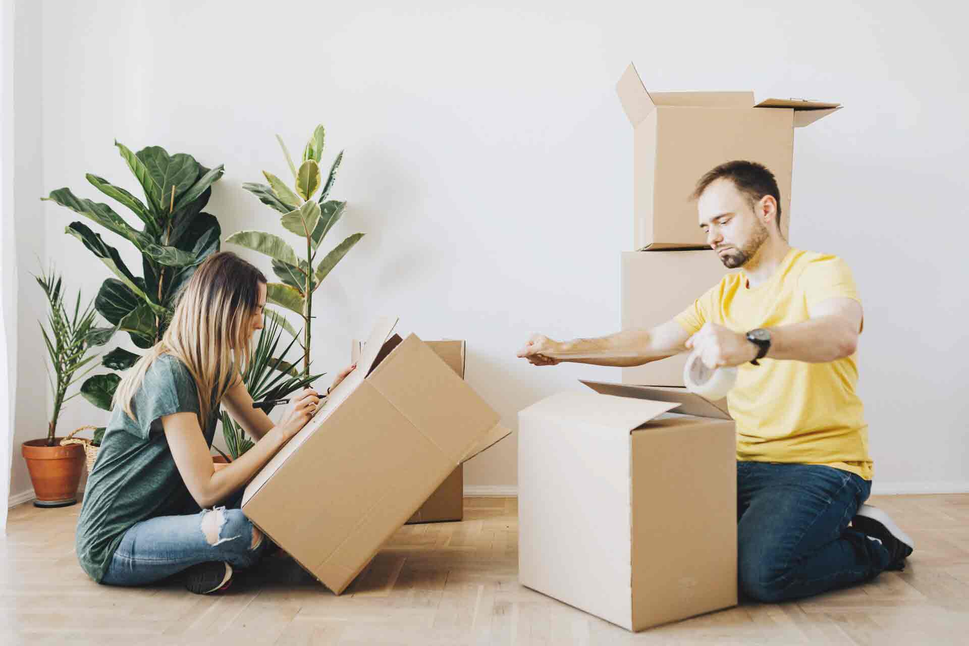 Man and Women Packing Box - Earthrelo
