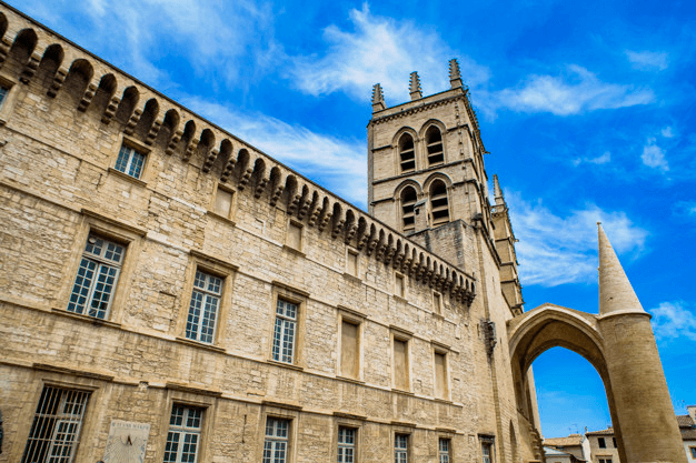 University of Montpellier - Earthrelo