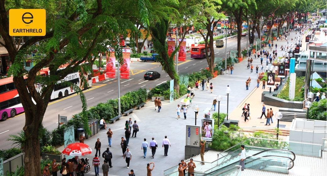 Moving Services to Orchard Road from USA: Your Complete Relocation Guide - EARTHRELO