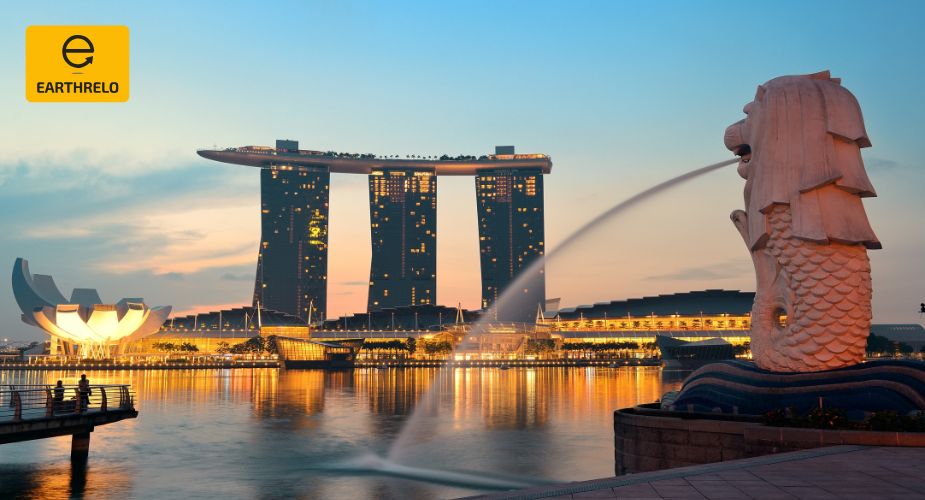 Settling Abroad Services - Earthrelo