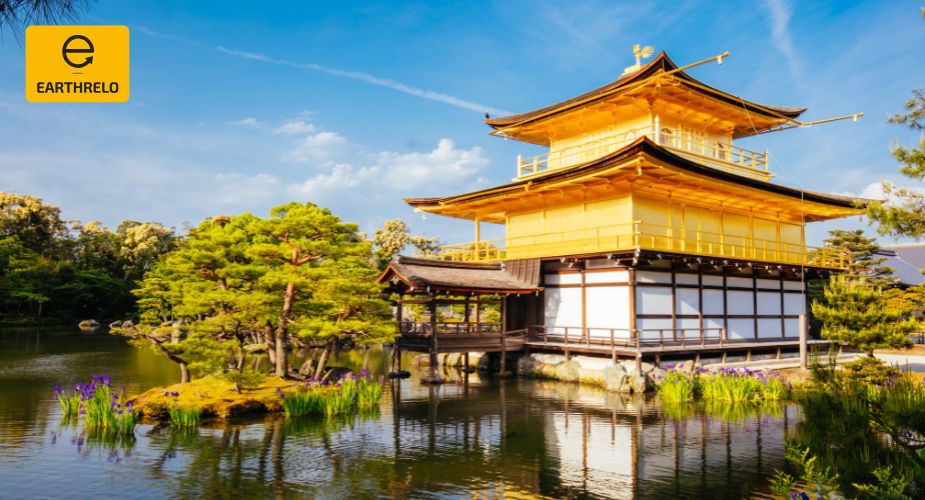 Ship Car Overseas - EarthRelo