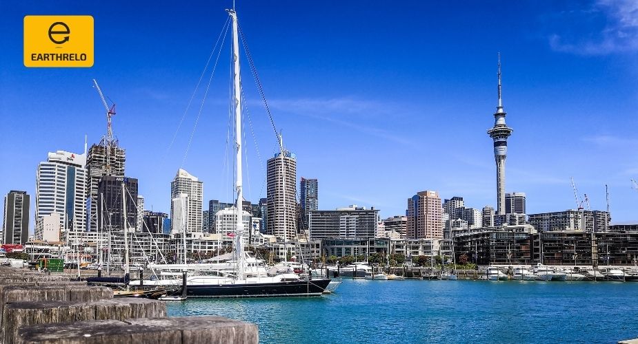 Moving Services to Auckland from USA: Your Complete Relocation Guide - EARTHRELO