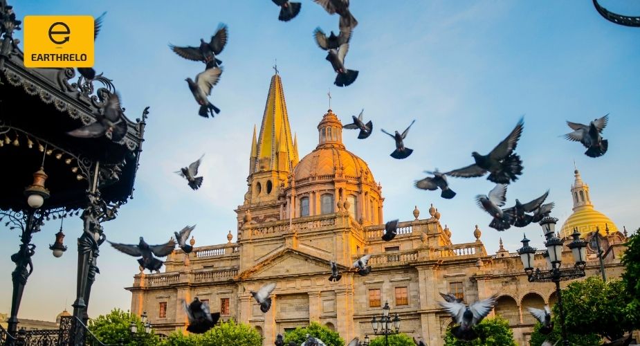 Moving Services to Guadalajara from USA: What Expats Should Know - EARTHRELO