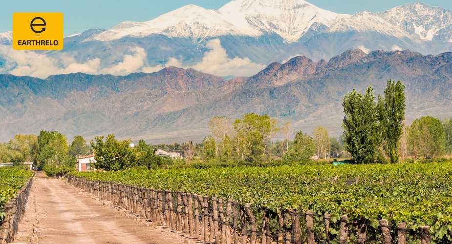 Moving Services to Mendoza from USA: A Step-by-Step Relocation Guide - EARTHRELO