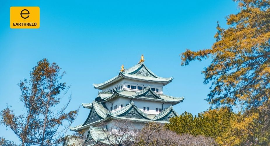 Moving Services to Nagoya from USA: A Guide for Global Professionals - EARTHRELO