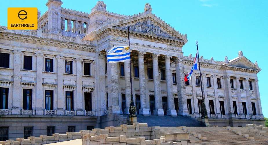 Moving Services to Rosario from USA: Plan Your Move With Confidence - EARTHRELO