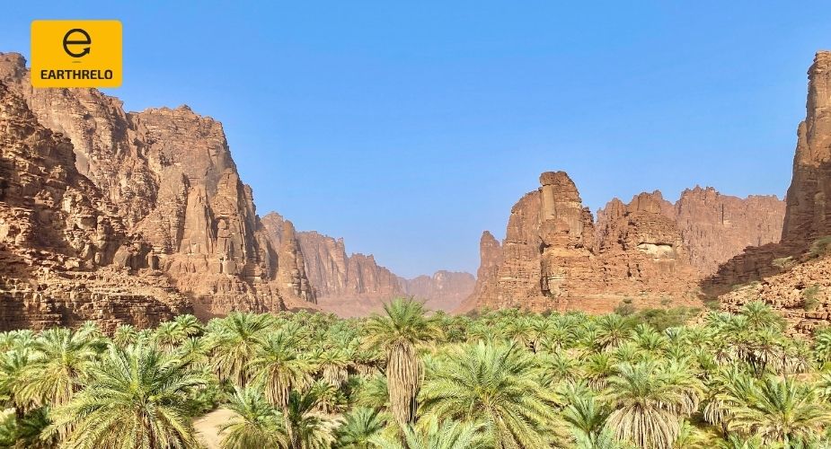 Moving Services to Tabuk from USA: Smooth Transition to the North - EARTHRELO