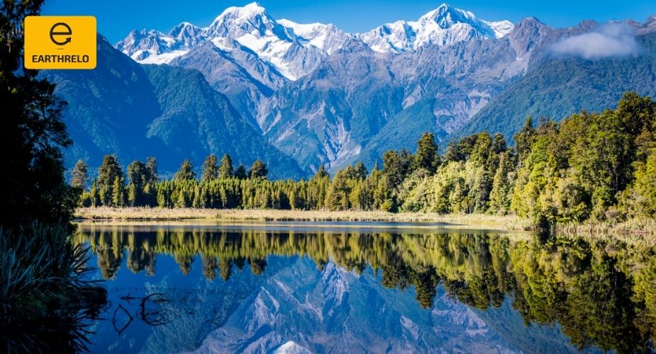 Moving Services to Wellington from USA: What Expats Should Know - EARTHRELO