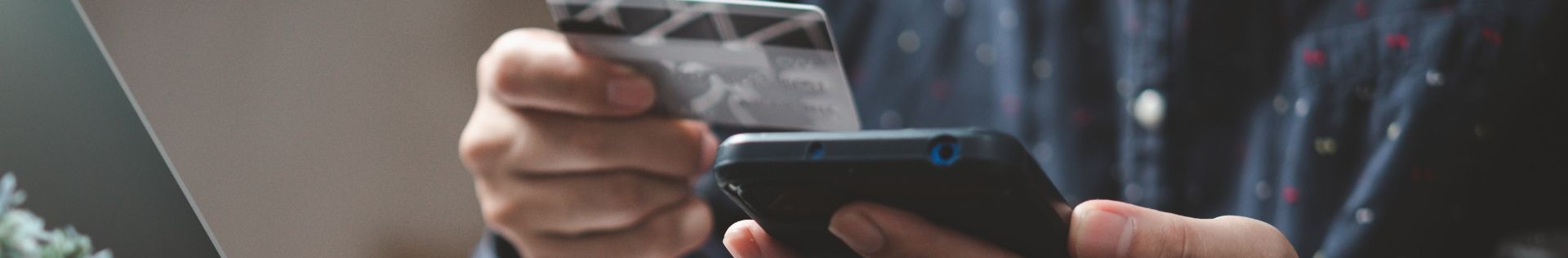 Online Payment Portal - Earthrelo