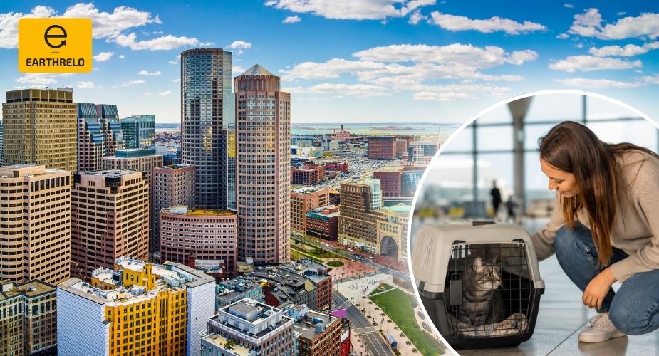 Pet Relocation Services in Boston - Earthrelo
