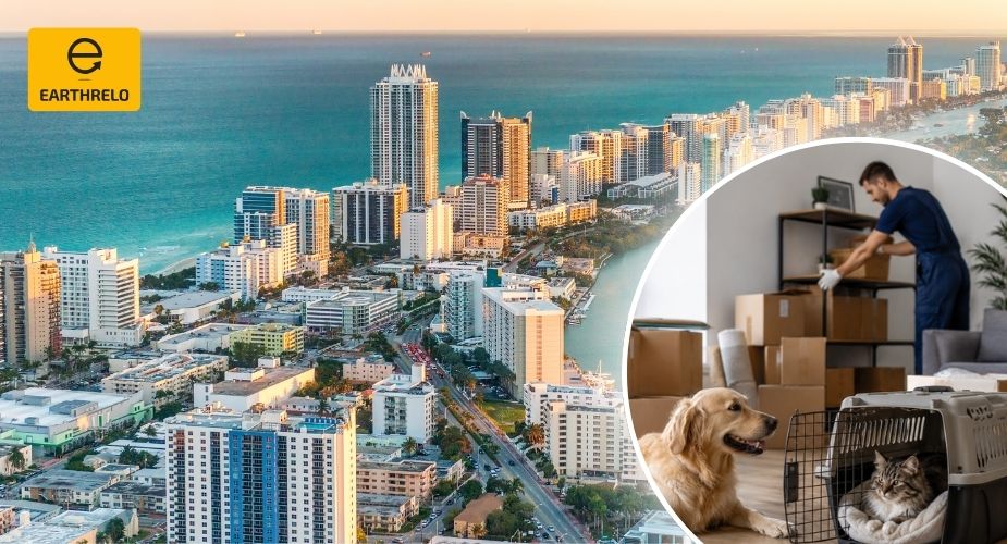 Pet Relocation Services in Miami - Earthrelo