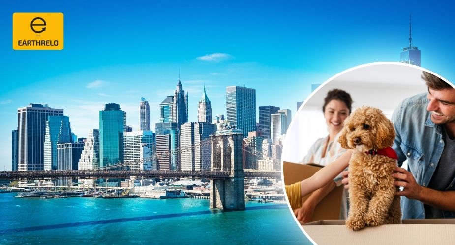 Pet Relocation Services in New York City - Earthrelo