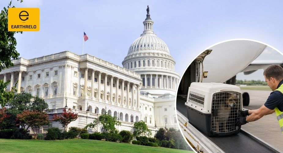 Pet Relocation Services in Washington DC - Earthrelo
