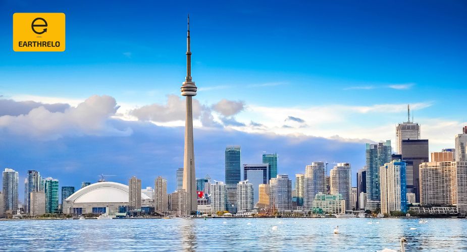 Safe & Easy Pet Moving Services for Moving to Canada From US - EARTHRELO
