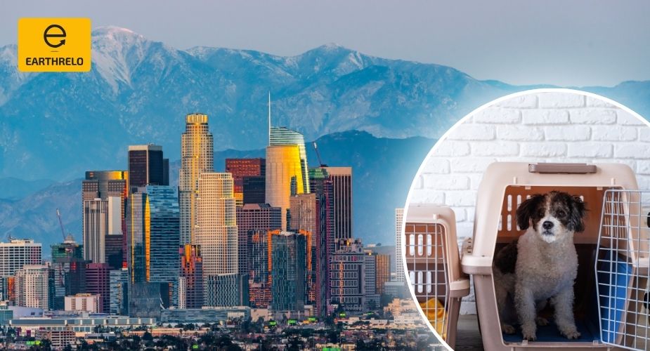 Pet Relocation Services in Los Angeles - Earthrelo